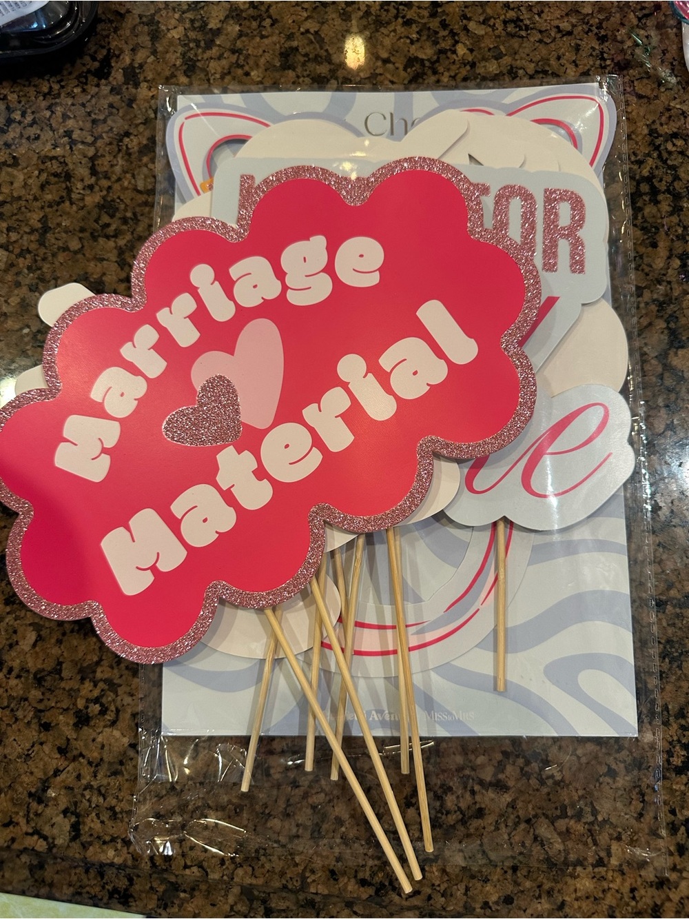 Marriage Material Photo Props - Pink
